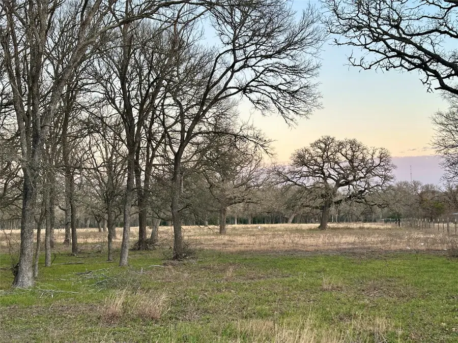TBD Cr 118 Rd, Giddings, TX 78942 - #3