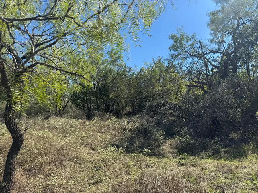 Lot 147 Concho Trl, Kingsland, TX 78639 - #3