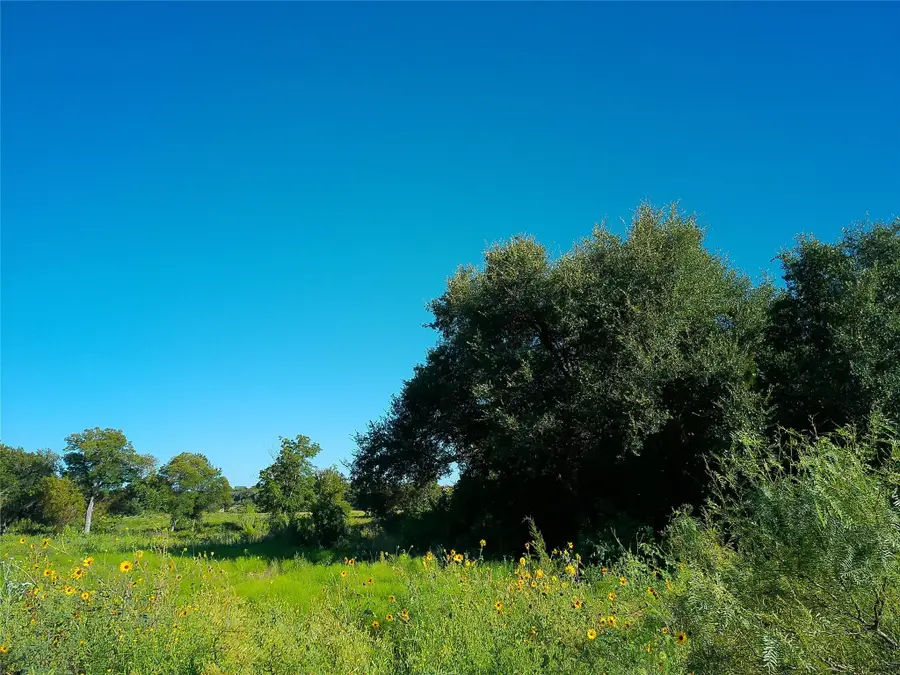 Lot 34 Serenity Dr, Bertram, TX 78605 - #2
