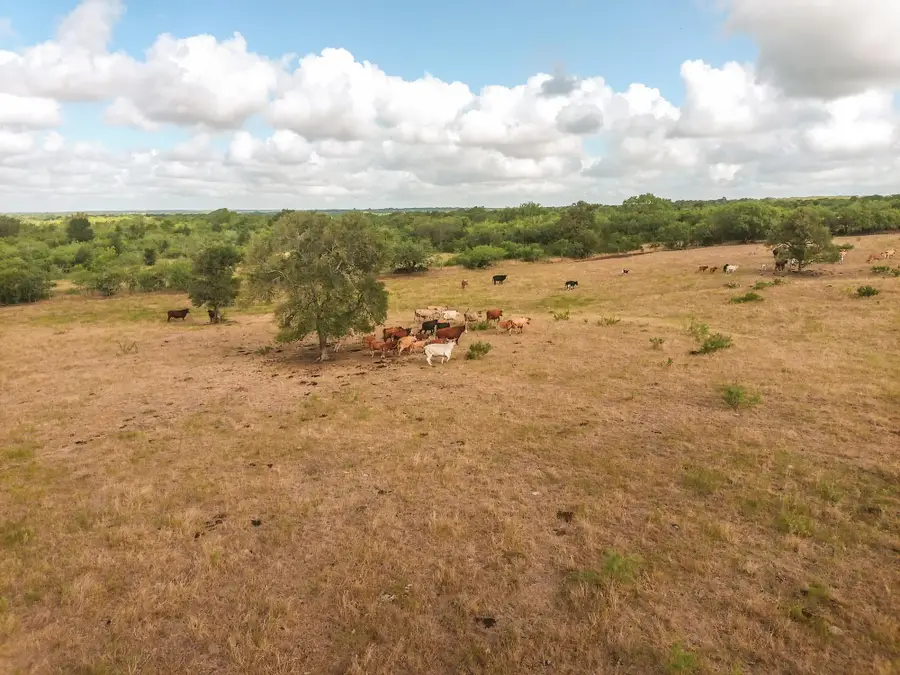 TBD County Road 446, Waelder, TX 78959 - Image #3