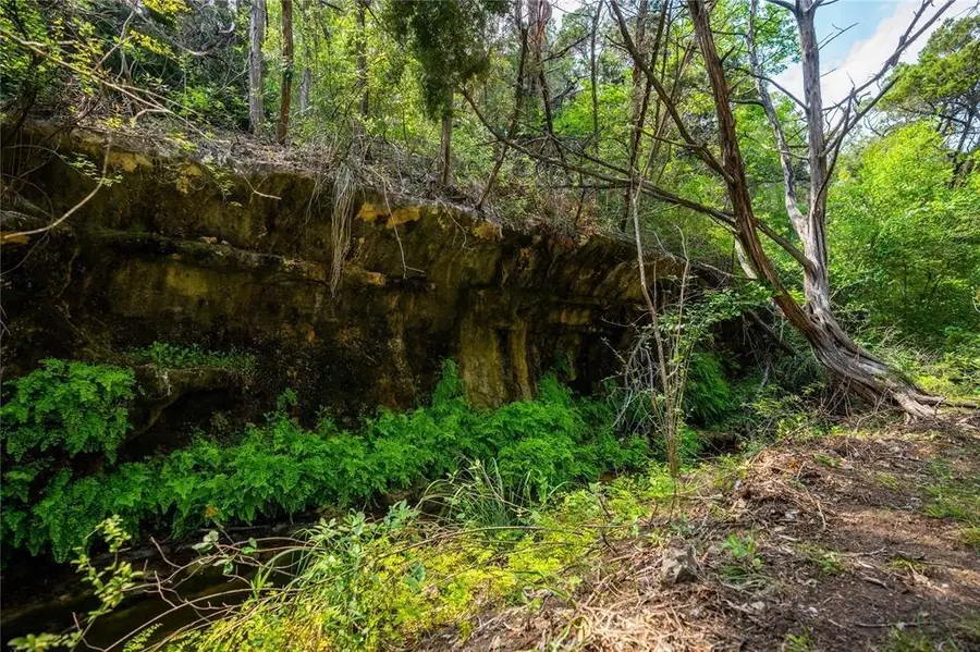 502 Grace Ln, Austin, TX 78746 - #3