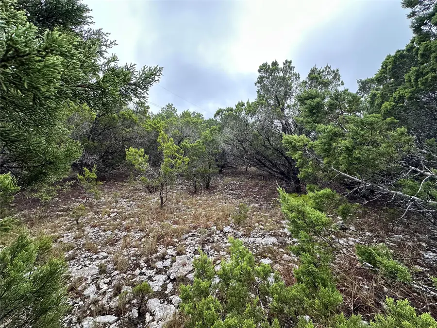 8413 Angus Trl, Lago Vista, TX 78645 - Image #3