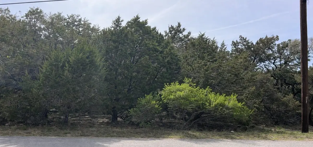 20305 Rockpark Ln, Lago Vista, TX 78645 - #1