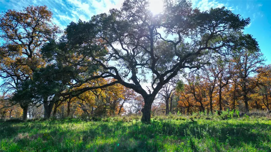 TBD Tx-123, Seguin, TX 78155 - Image #2