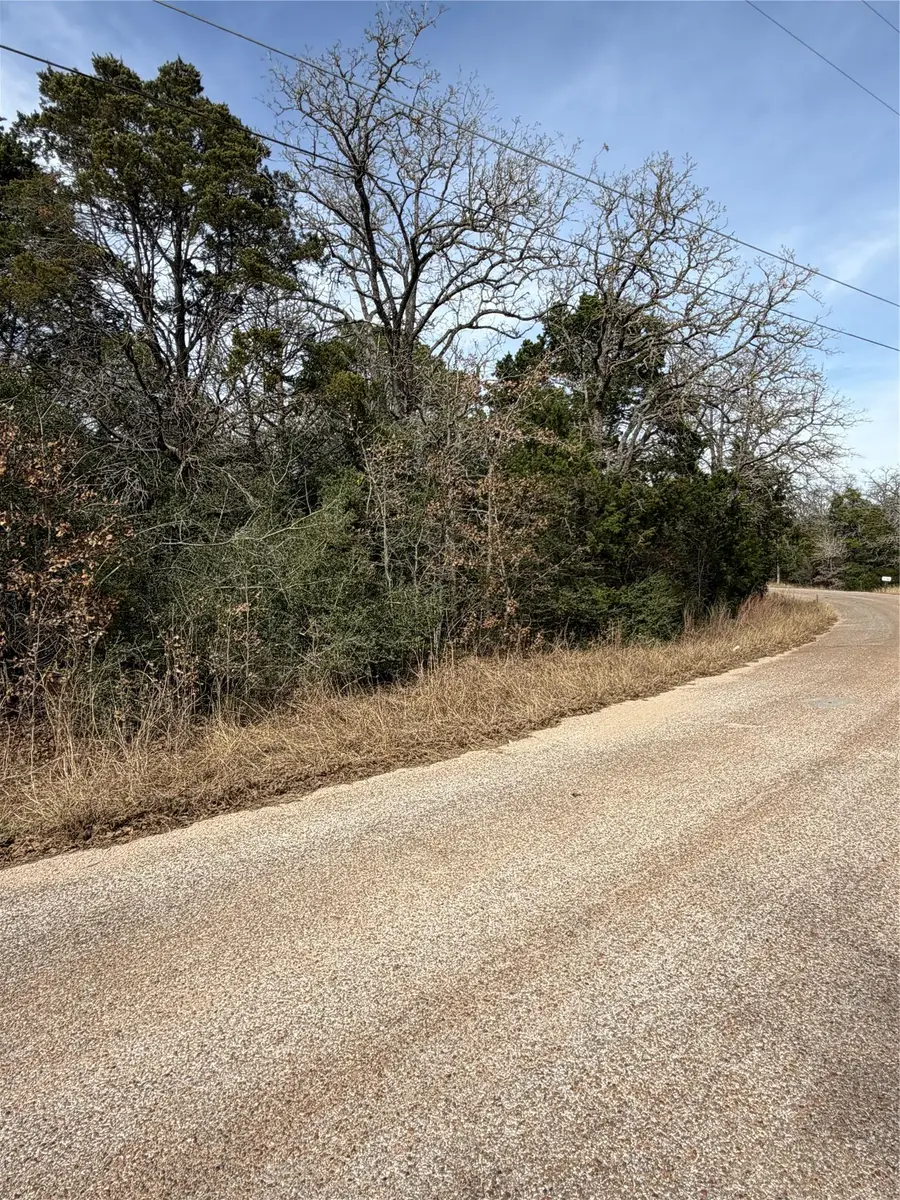 Lot 21 Flint Ridge St, Bastrop, TX 78602 - #3