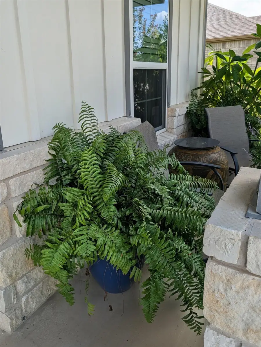 336 Kitty Hawk Rd, Georgetown, TX 78633 - #3
