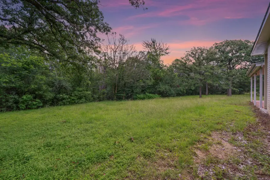 272 Old Coach Ln, Elgin, TX 78621 - #3