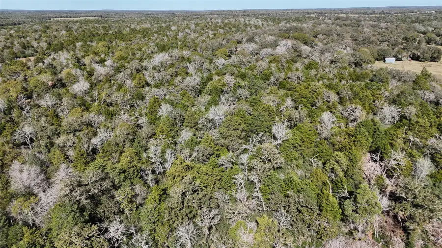 522 Fm 713, Rosanky, TX 78953 - Image #3