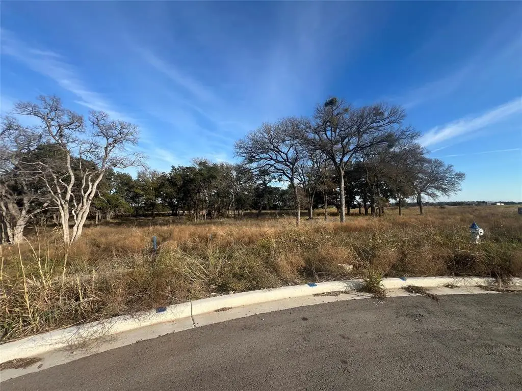 115 W Rio Ranch Rd, Liberty Hill, TX 78642 - Image #1