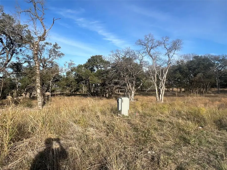 115 W Rio Ranch Rd, Liberty Hill, TX 78642 - Image #3