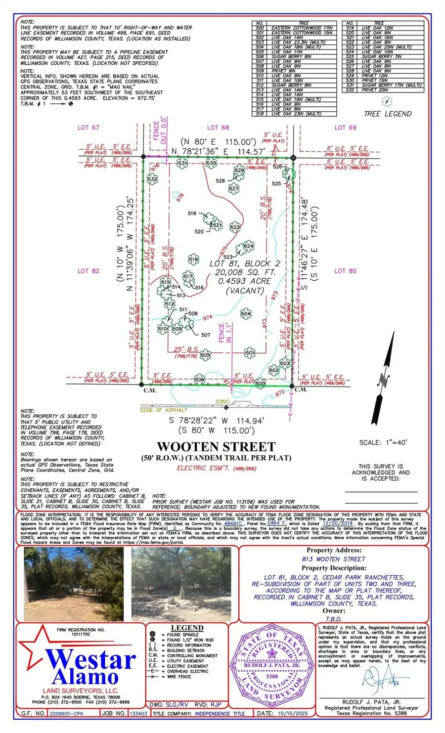 813 Wooten St, Cedar Park, TX 78613 - #2