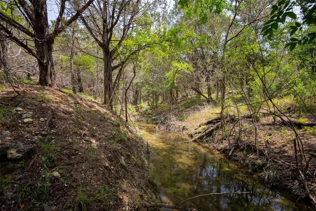 0 River Shoals Dr, Kempner, TX 76539 - #1