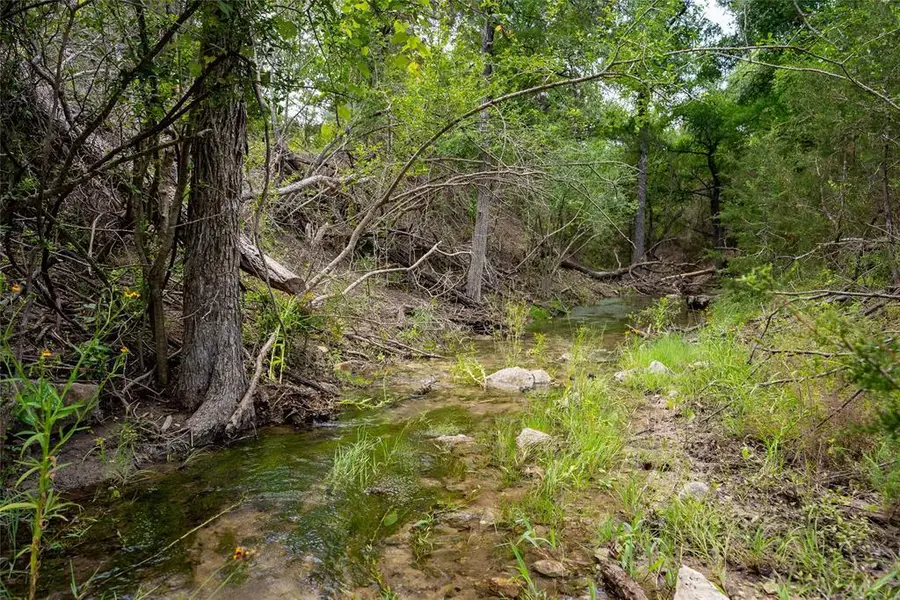 0 River Shoals Dr, Kempner, TX 76539 - #2