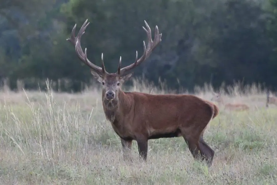 0 River Shoals Dr, Kempner, TX 76539 - #3