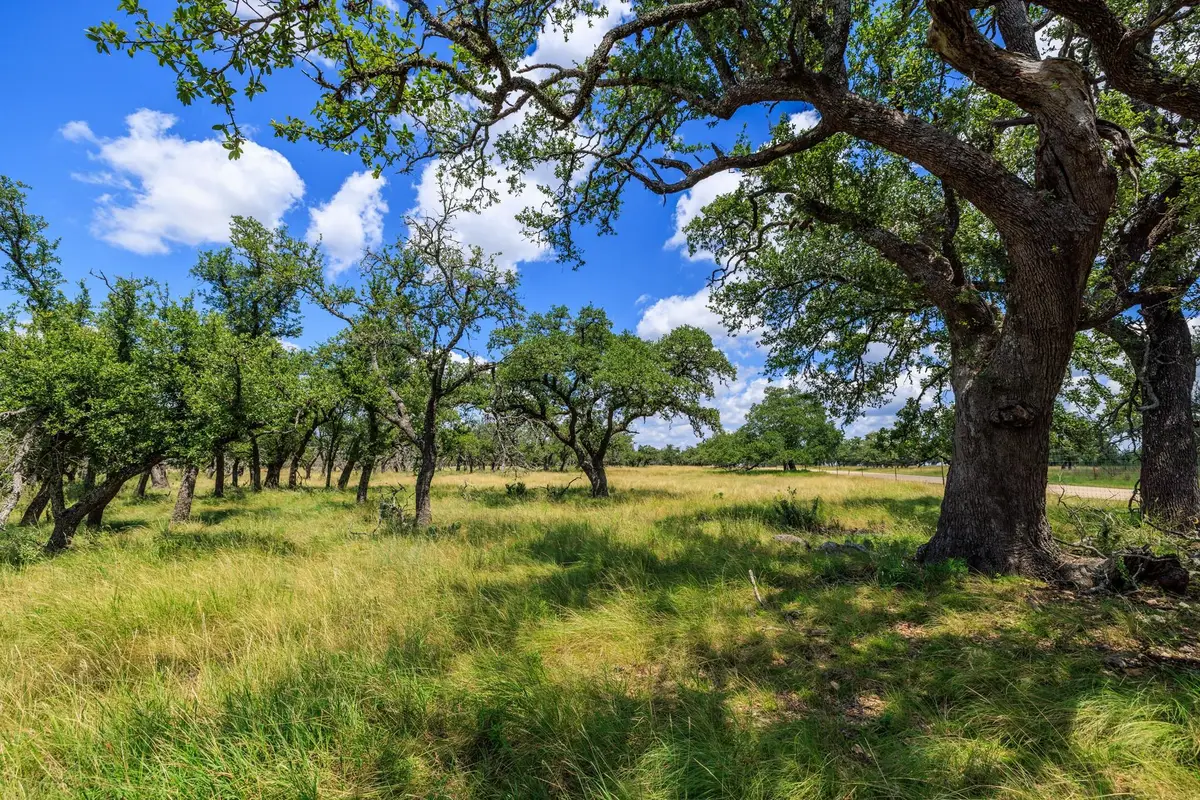 Lot 88 Stock Pond Dr, Harper, TX 78631 - #1