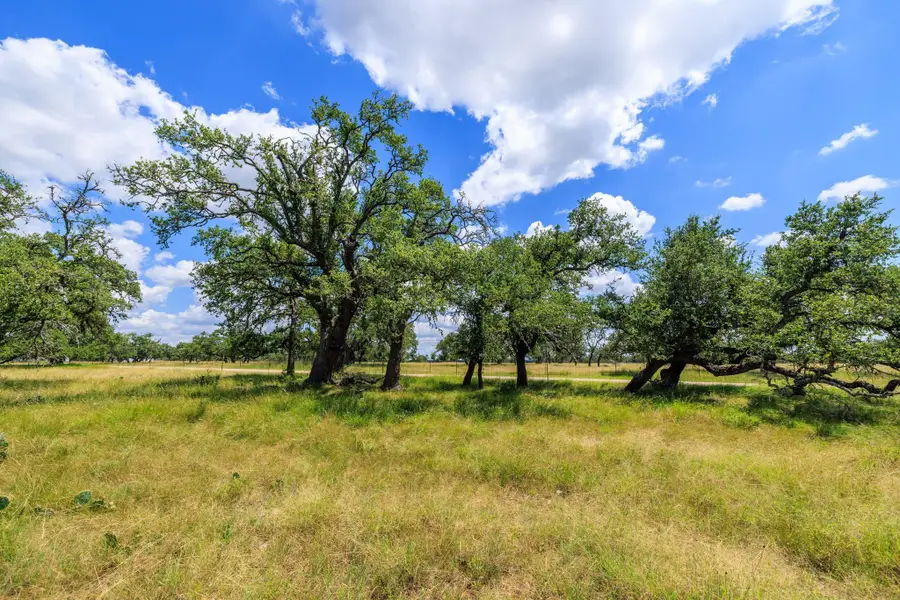 Lot 88 Stock Pond Dr, Harper, TX 78631 - #2
