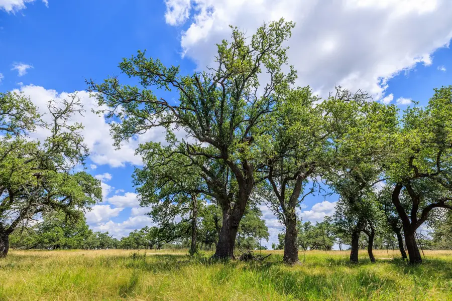 Lot 88 Stock Pond Dr, Harper, TX 78631 - #3