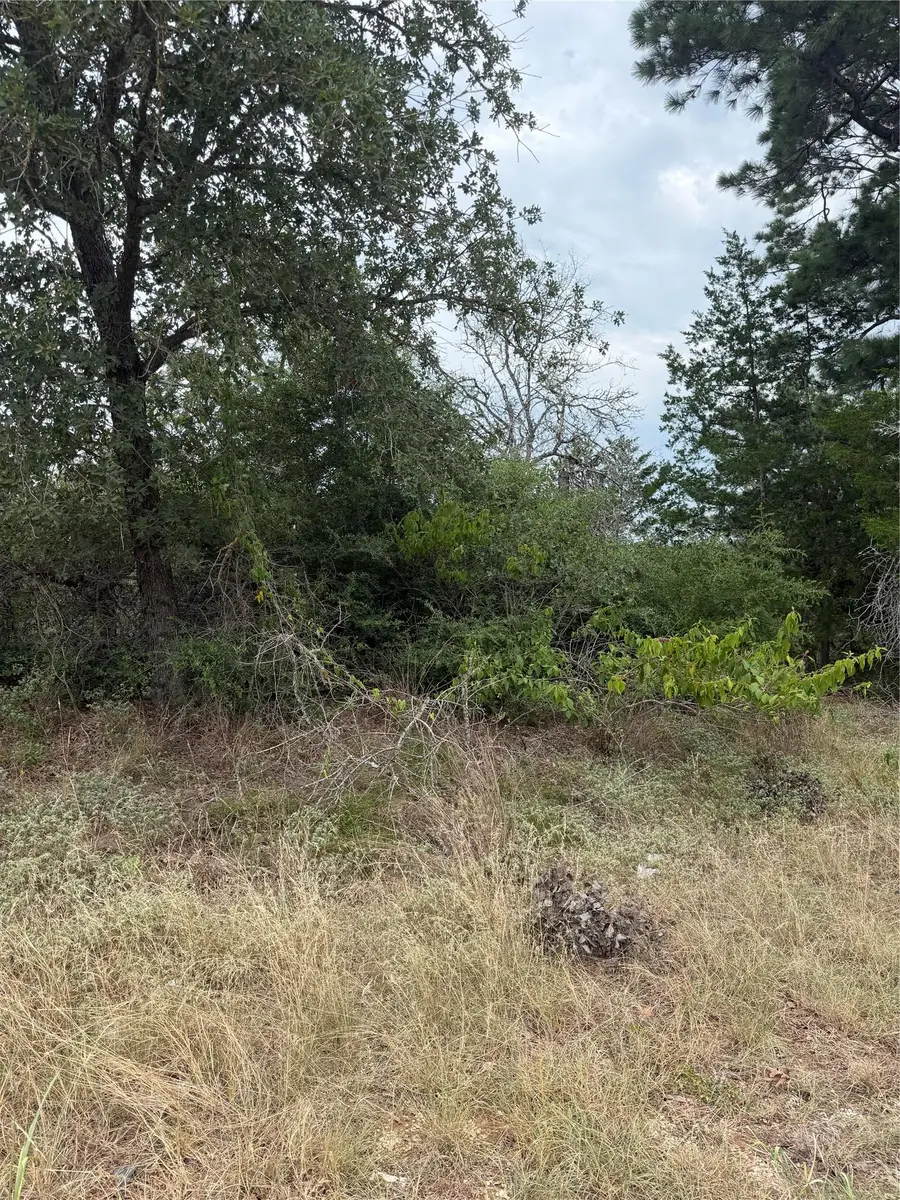 Lot 236 Kaelupulu Dr, Bastrop, TX 78602 - #2