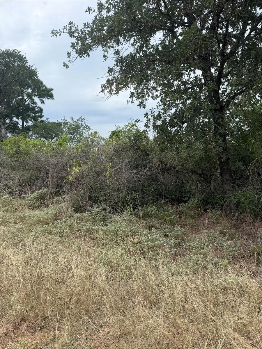 Lot 236 Kaelupulu Dr, Bastrop, TX 78602 - #3