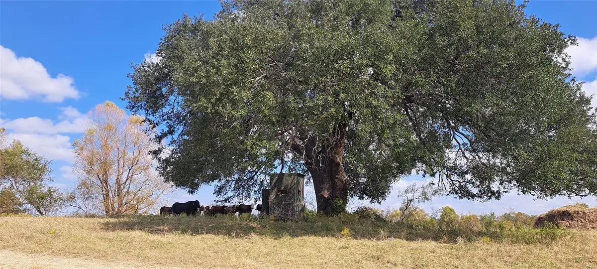 3432 County Road 206 Rd N, Cameron, TX 76520 - Image #1