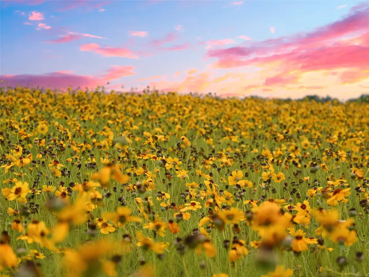 1515 County Road 315, Jarrell, TX 76537 - #1