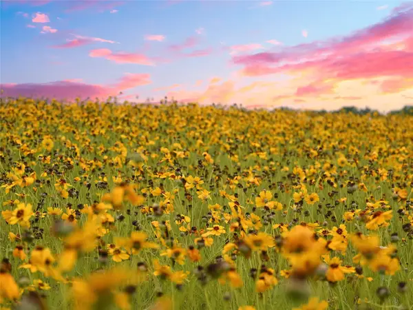 1515 County Road 315, Jarrell, TX 76537