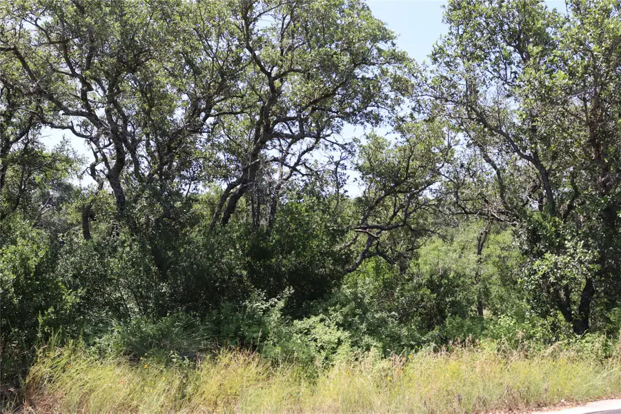 TBD Lot 37054 Thanksgiving Mountain Rd, Horseshoe Bay, TX 78657 - #3