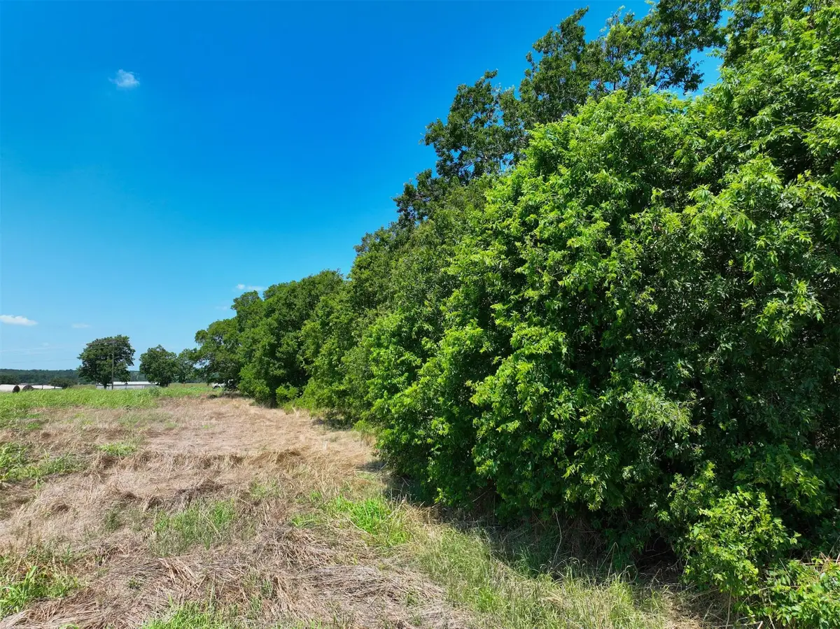 Lot 1 Cr 142 Rd, Cameron, TX 76520 - #1