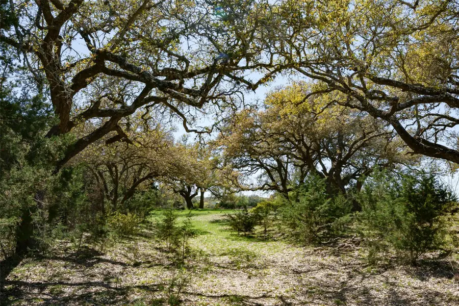 1440 Stone Ridge Mountain Dr, Round Mountain, TX 78663 - #2