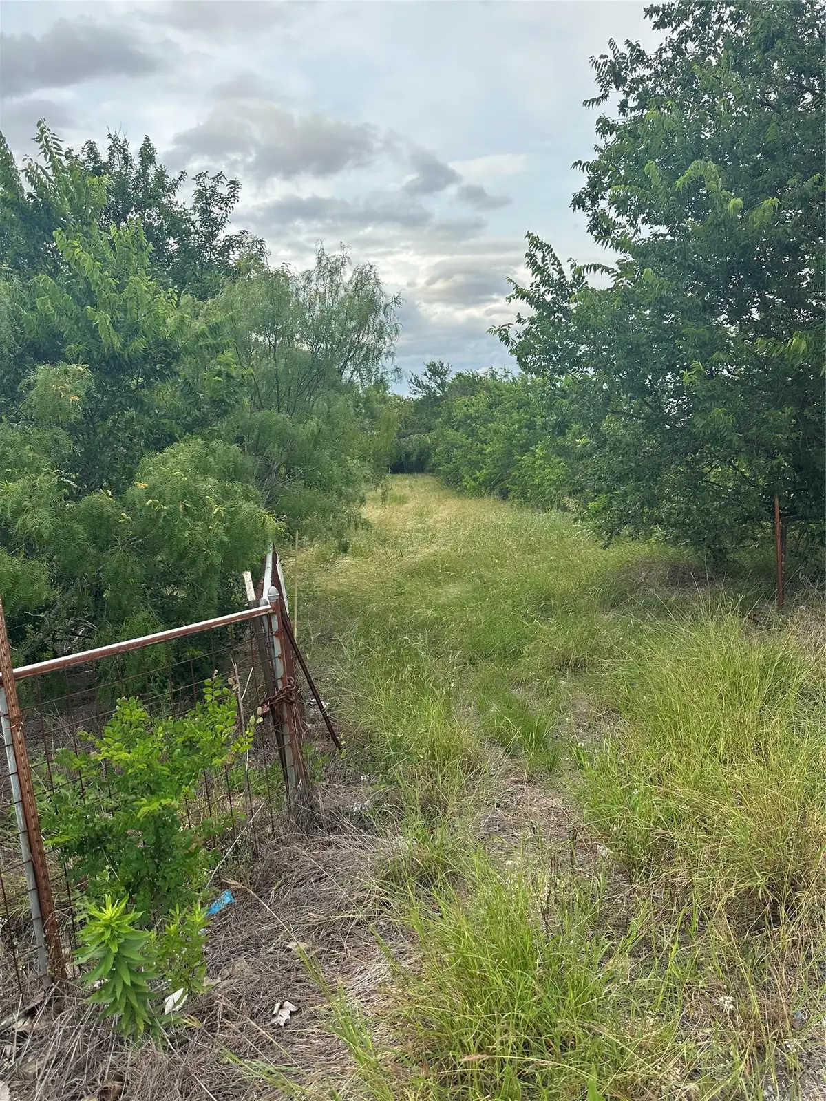 3 Lehman Rd, Kyle, TX 78640 - #1