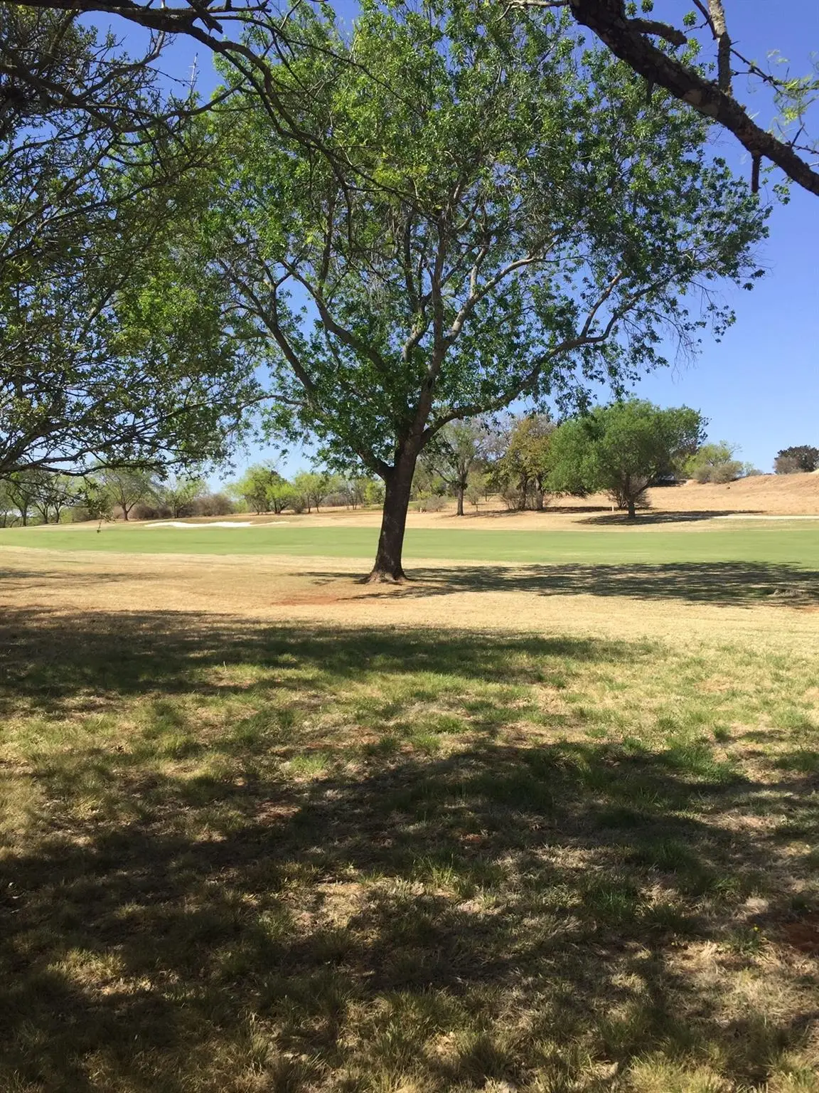 338 Sun Ray, Horseshoe Bay, TX 78657 - #1