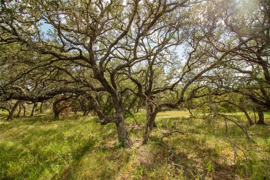 000 County Road 15, Hallettsville, TX 77964 - #2
