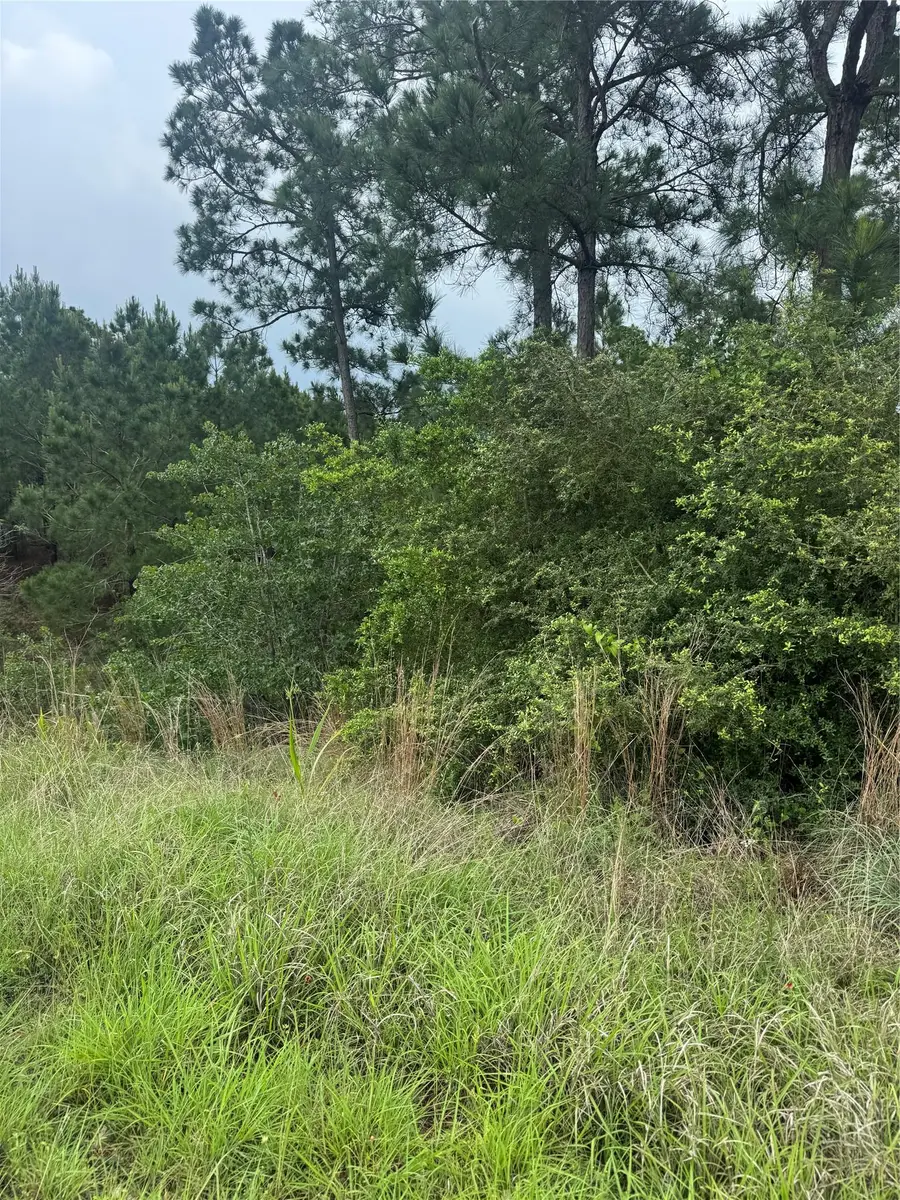 Lot 1614 Kaanapali Ln, Bastrop, TX 78602 - #2