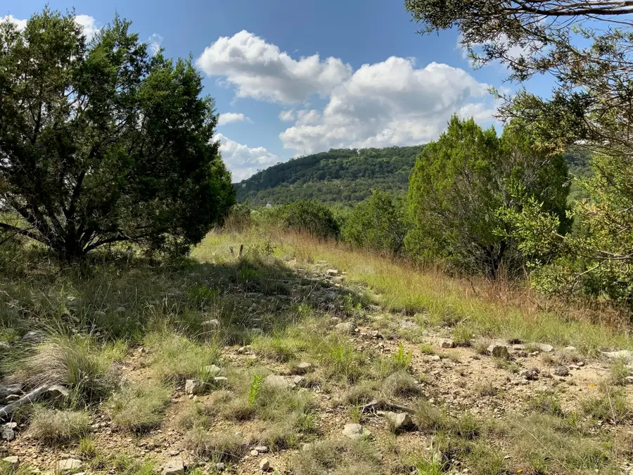 Lot 133 Spring Hollow Dr, Bertram, TX 78605 - #2