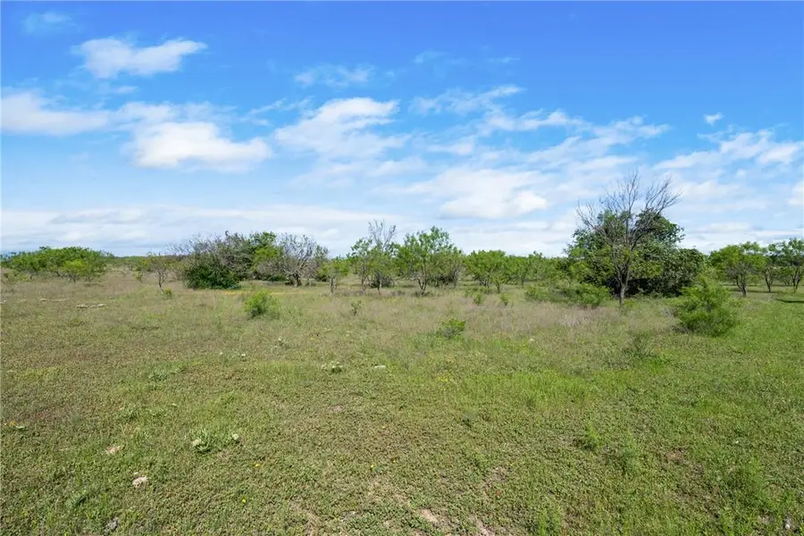 TBD Cr 236, Liberty Hill, TX 78605 - #3