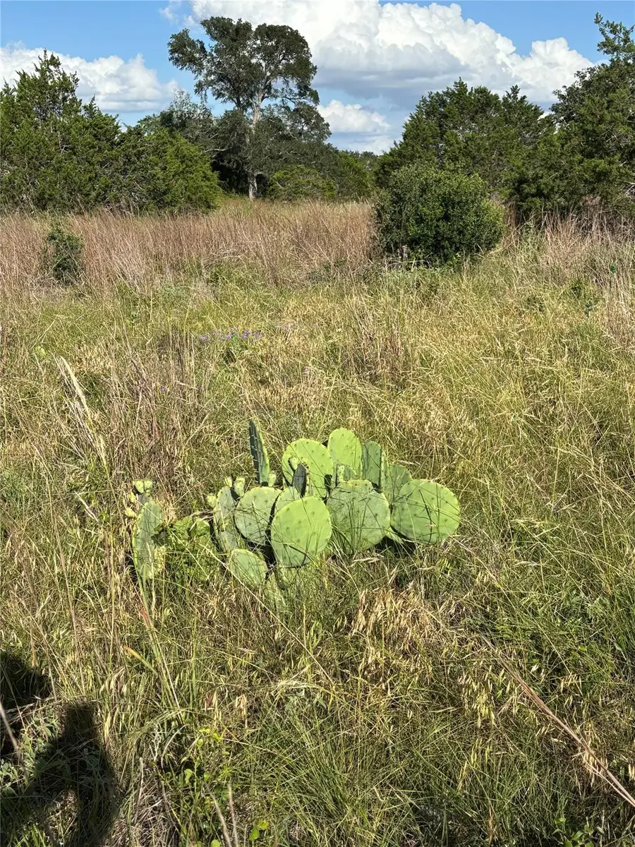 1200 Cave Springs Dr, Wimberley, TX 78676 - #3
