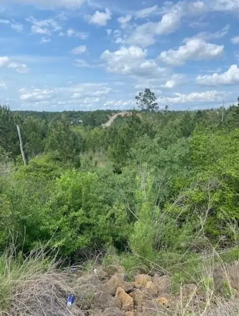 Lot 4 Kainalu Ln, Bastrop, TX 78602 - #2