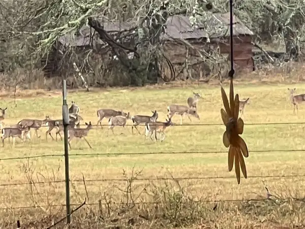 1384 County Road 326, Adkins, TX 78101