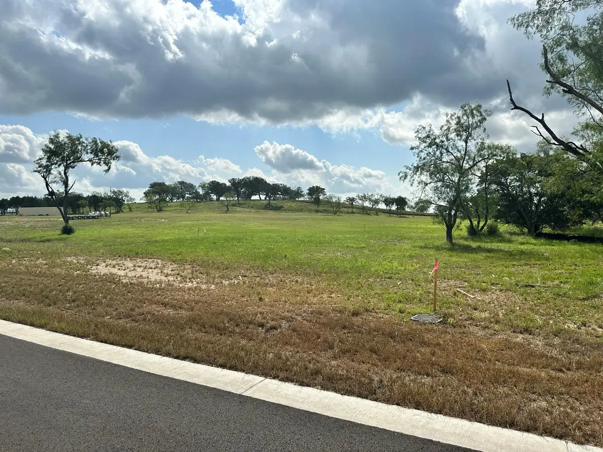 163 Landings Way, Spicewood, TX 78669 - #1