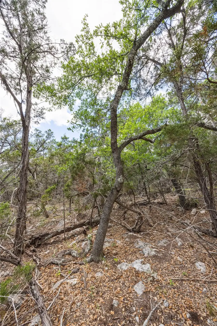 TBD Cheyenne Trl, Wimberley, TX 78676 - #2