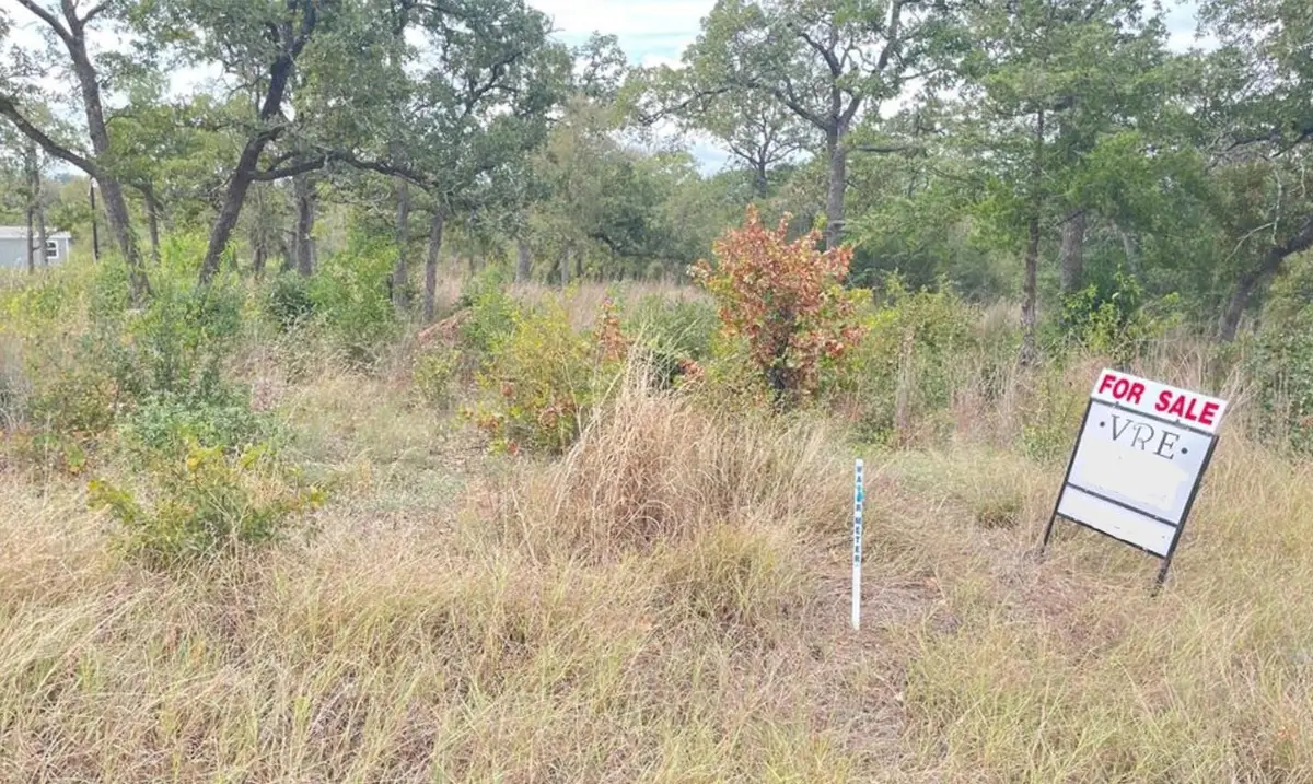 195 Tuck St, Cedar Creek, TX 78612 - #1