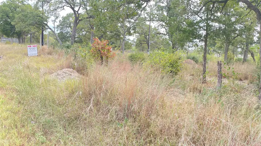 195 Tuck St, Cedar Creek, TX 78612 - #2