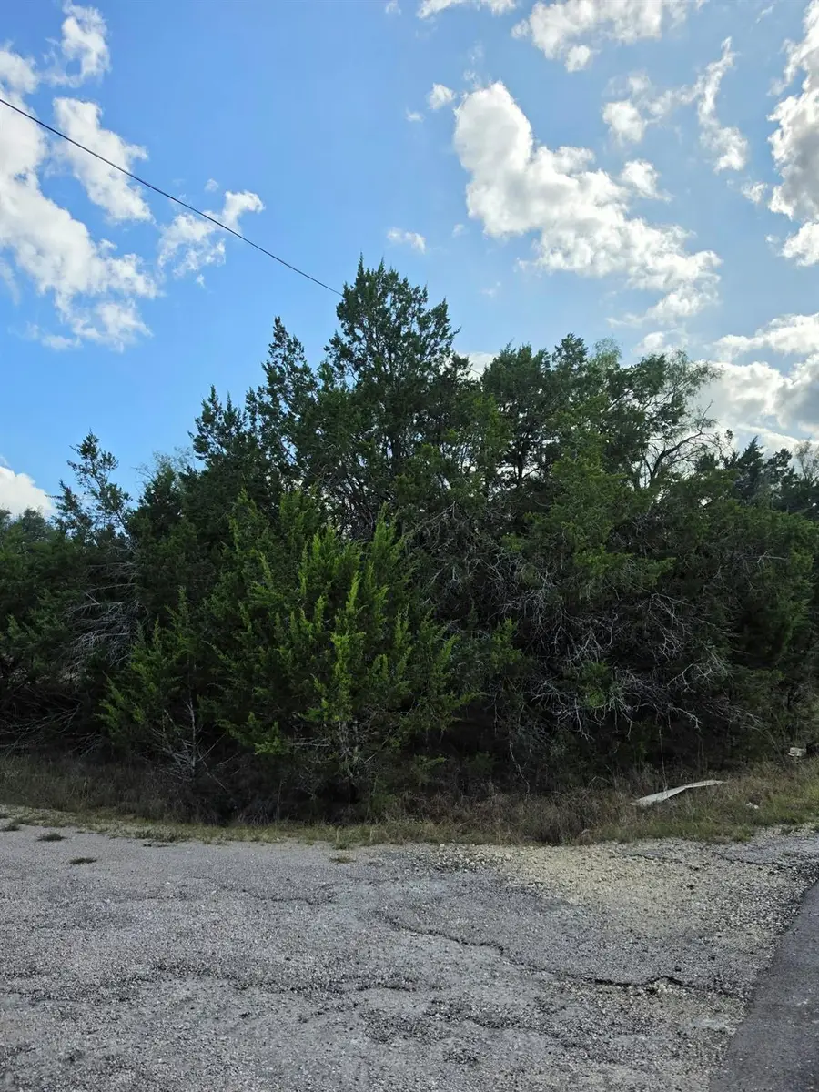 21811 O Neill Ave, Leander, TX 78645 - #3