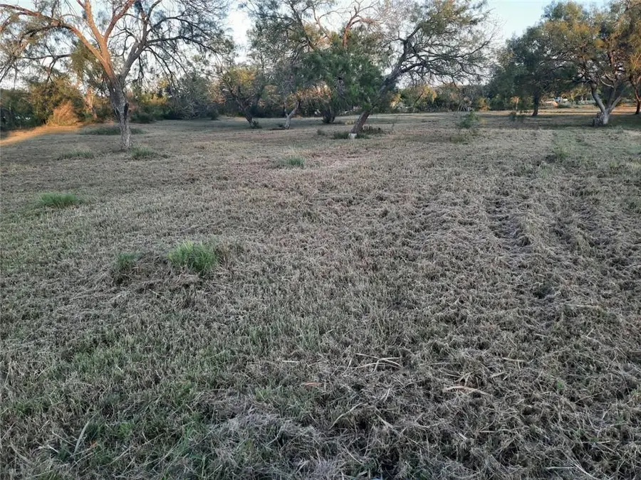 118 Valerie Ln, Dale, TX 78616 - #3