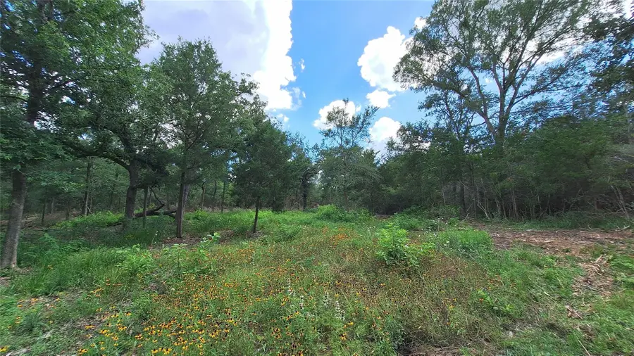 1014 Beaver Lake Dr, Caldwell, TX 77836 - #3