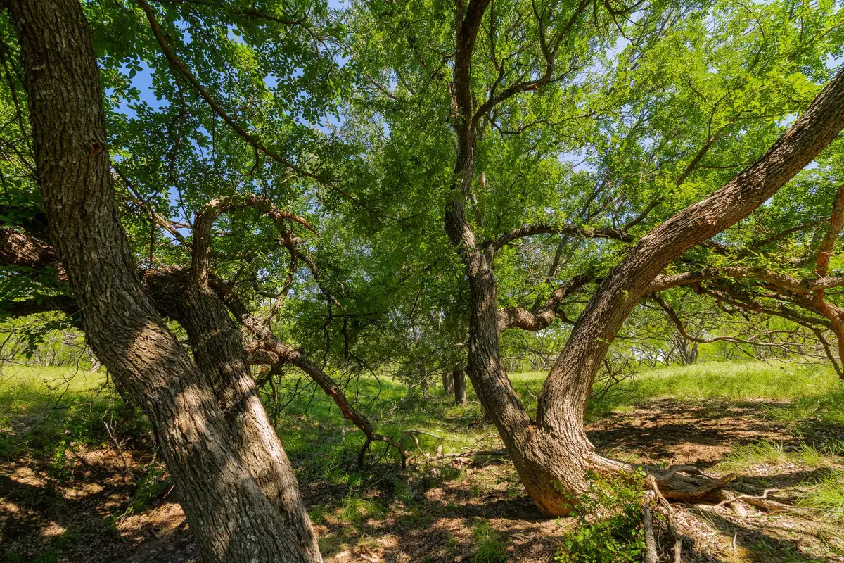 TBD Twin Draw County Road 180 Rd, Purmela, TX 76566 - #1