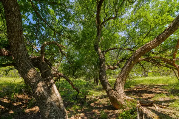TBD Twin Draw County Road 180 Rd, Purmela, TX 76566
