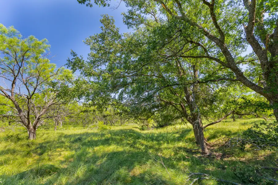 TBD Twin Draw County Road 180 Rd, Purmela, TX 76566 - #3