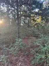 107 Lake Point Way, Bastrop, TX 78602 - #1