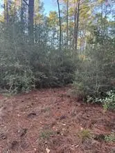 107 Lake Point Way, Bastrop, TX 78602 - #2